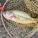 ドリームレイクでクランク調査　黒が効く！？