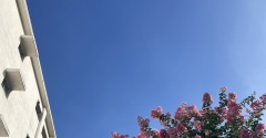 無理しない 真夏の作業 ／ 実家片づけ