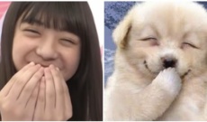 【乃木坂46】5期生 冨里奈央ちゃんそっくりのわんこが発見されるwww