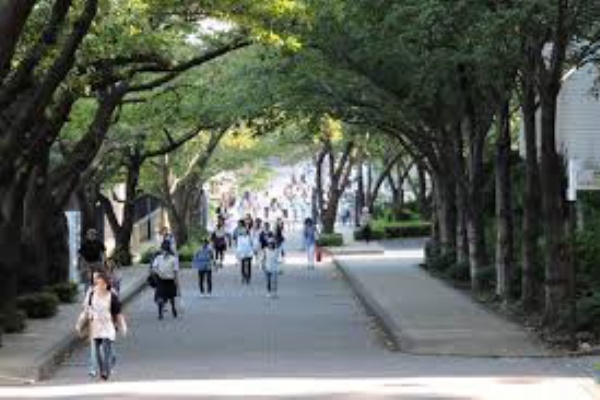 ワイ あっ 一応江戸川大学です University Of 2ch 大学まとめ