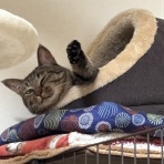 遠近メゾネット