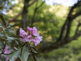 義弟と義母が「旦那より稼ぐ嫁はダメ」というスタイルだった為、看護婦資格を持っているのにラーメン屋で働いていた義弟嫁。義弟は手取り15万いかないくらい。