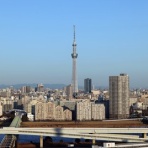 東京スカイツリー定点観測所