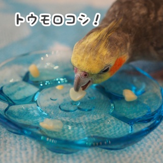 NEW!ユニブログ