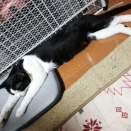 時間の流れ🥺　起立性調節障害