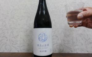 呑んべーかせゴンは生酒が好き