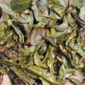 手摘み・高発酵 いずみ烏龍茶