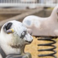 シリウスを入れ替えて出てくる動物2匹はな〜んだ？【やまとなぞなぞ】