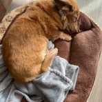 smile☆サプリ☆