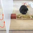 いい仕事してます。