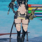PSO2NGS ポキールのぽきんたん日記