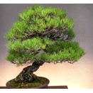 自分が働いている仕事を好きになりオンリーワンを目指そう！