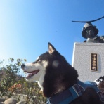 ちょいとそこログ