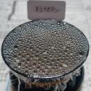 柱サボテン発芽