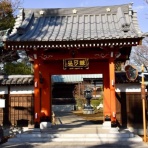 つっちゃんの絵日記