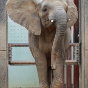 激怒プンプン丸な姉妹