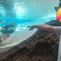 須磨シーワールド🐬&今日の様子