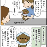 飼い犬ティアラが病気になった話④手術の日