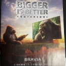 電脳話　TV買替