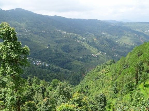 『ポツンと一軒家』にまたまた新潟のお家が登場！新潟にある手づくり村？！11月16日19:54～放送。