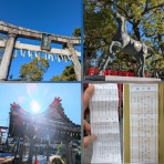 コロナ禍真っ只中55歳ステージⅡB乳がん告知　2024年6月肺転移でステージⅣへ