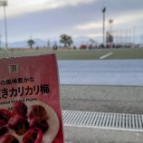 『嘉島!』の画像