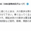 腹巻の出番です