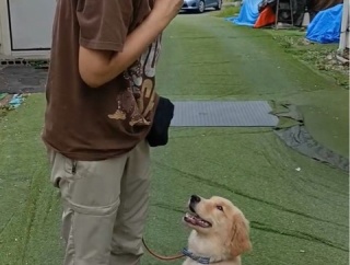 GO君もトレーニングです✌️🐶✌️