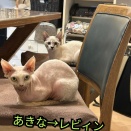 🍀幸せ便り🍀