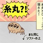 セニョリータかめのバルセロナ生活
