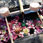 ヒサトわーるど2025