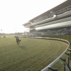 さておき競馬まとめ