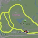 フルフルの挑戦はどこまでも
