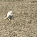 公園へ行こう#348