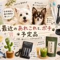【楽天お買い物マラソン】自律神経と腸活と模様替えと、ポチ