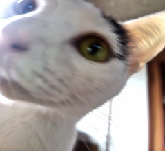 今朝のノリちゃん