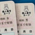 【そもそも任意取得だろ】政府 マイナ取得義務化を見送り