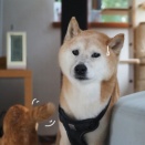 毎日すりすり♪