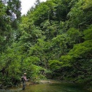 2025シーズン、Ⅳ