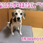 ガオだらけな日々　