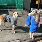 .•*.•*beny beny*•.*•.