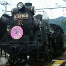 C58363　¨華¨