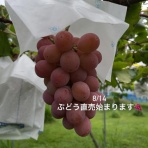 周防大島商タイム