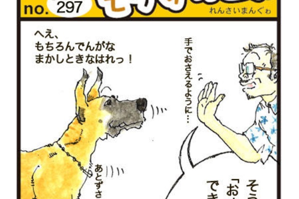 デーンのりぼんと とうちゃんのブログ 16年08月
