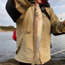 能登でキス釣り (ビリブリからちょっとだけ良型キス)