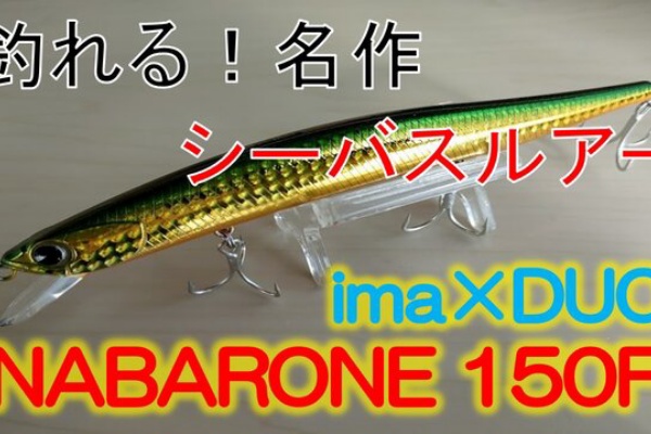 シーバス爆釣ブログ 〜SeaBaku〜 - 釣り情報