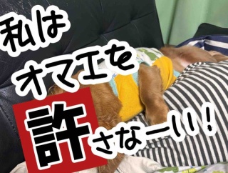 怒りと脱力。