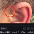 魚「よし陸で一旗あげるぞ！」「エラ呼吸？もう使わないからいらんな」　これマジで糞バカだよな？残してくれたらクッソ役立ったのに