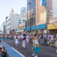 2026年の阿波おどりは「徳島県・東京高円寺」の連が集まるかもしれないみたい。来年で50周年