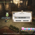 【FF14】サクセサー衣装セットをもらいましたヾ(〃^∇^)ﾉ【FFXIV】黄金のレガシー7.56